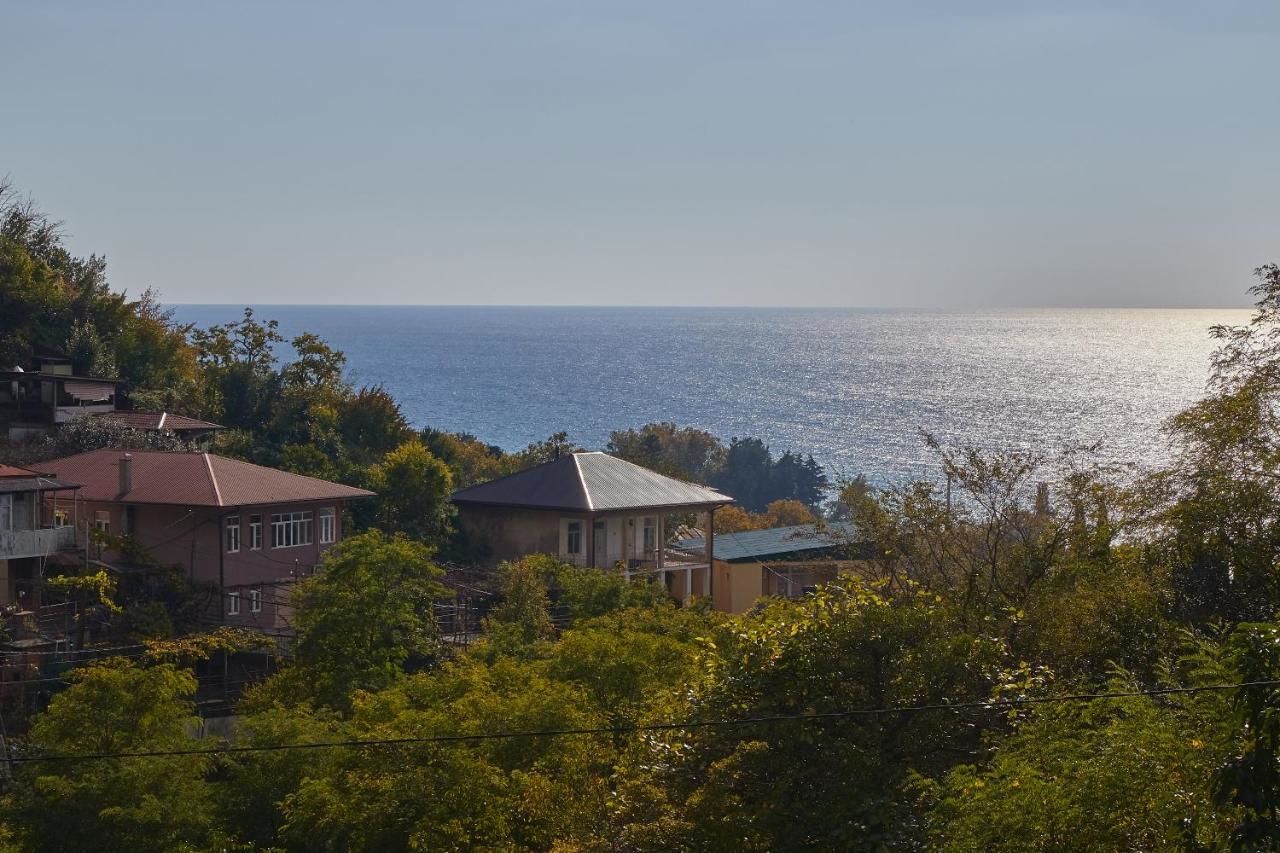 Мини-отель Gnezdo Beloy Sovy Mini Hotel Гагра-6