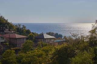 Мини-отель Gnezdo Beloy Sovy Mini Hotel Гагра-2