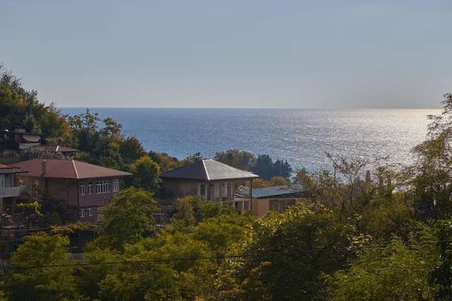 Мини-отель Gnezdo Beloy Sovy Mini Hotel Гагра-5